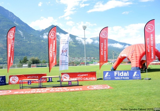 DSC 6861 1536 watermarked