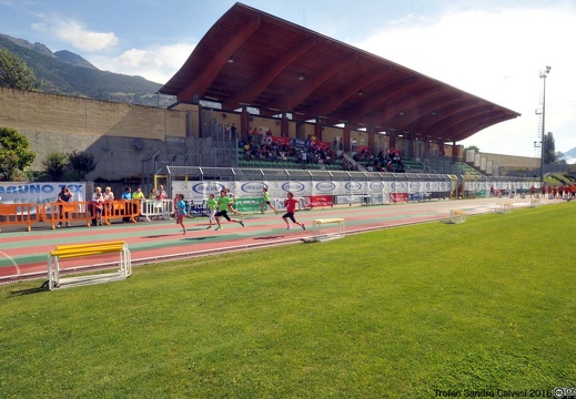 DSC 6865 1536 watermarked