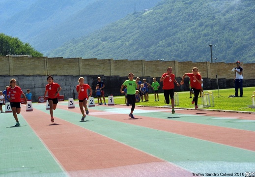 DSC 6871 1536 watermarked