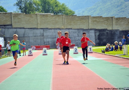 DSC 6875 1536 watermarked