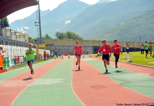 DSC 6877 1536 watermarked