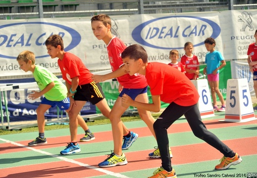 DSC 6884 1536 watermarked