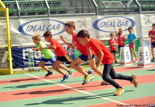 DSC 6885 1536 watermarked