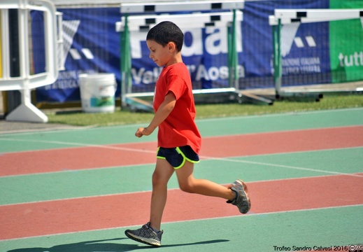 DSC 7016 1536 watermarked