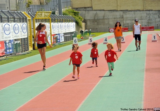 DSC 7018 1536 watermarked