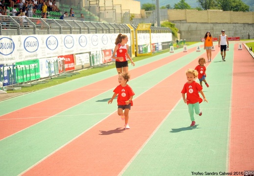 DSC 7019 1536 watermarked