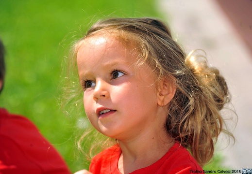 DSC 7030 1536 watermarked