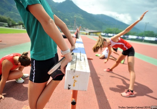 DSC 7065 1536 watermarked