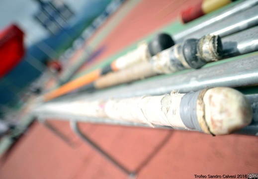 DSC 7072 1536 watermarked