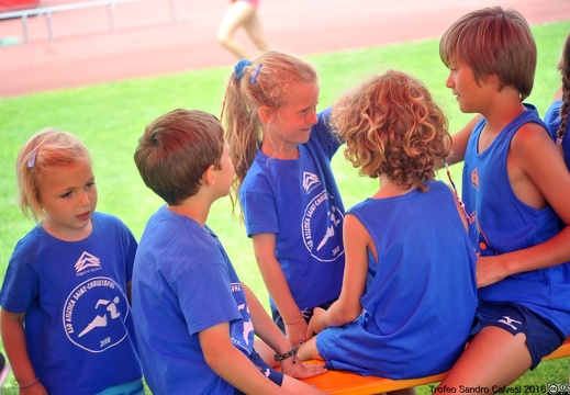 DSC 7085 1536 watermarked