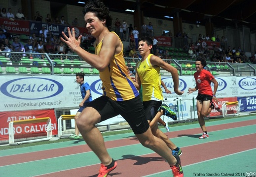 DSC 7553 1536 watermarked