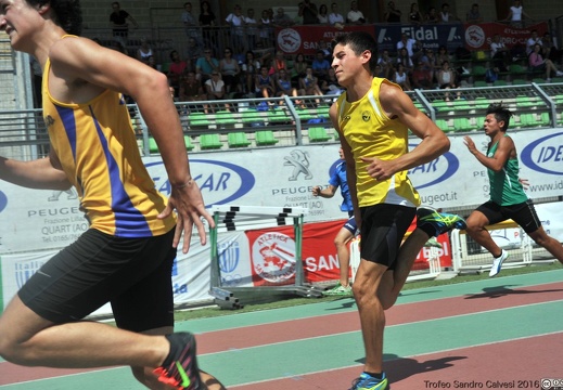 DSC 7554 1536 watermarked