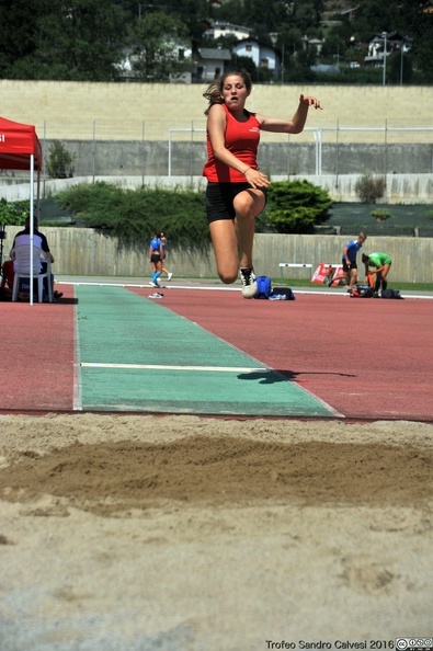 DSC_7563_1536_watermarked.JPG