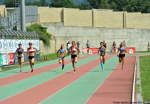 DSC 7589 1536 watermarked