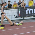 Meeting Calvesi estate 2026 (outdoor)